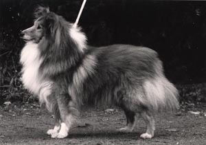 "Max"