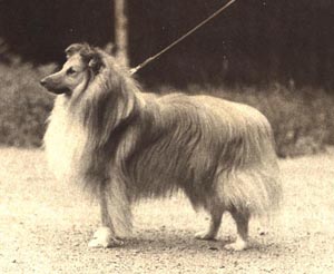 "Hamish"