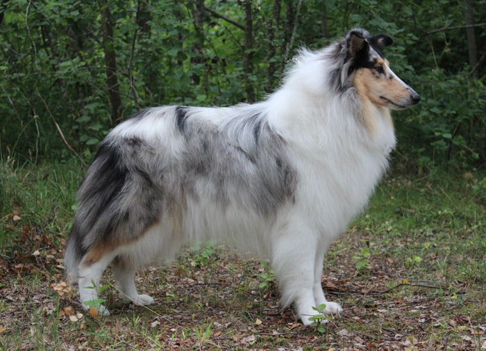 "Bella"