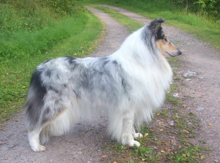"Bella"