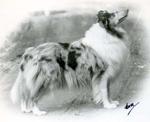 "Yendi"