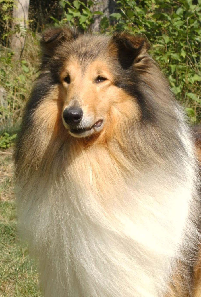 "Paolo"