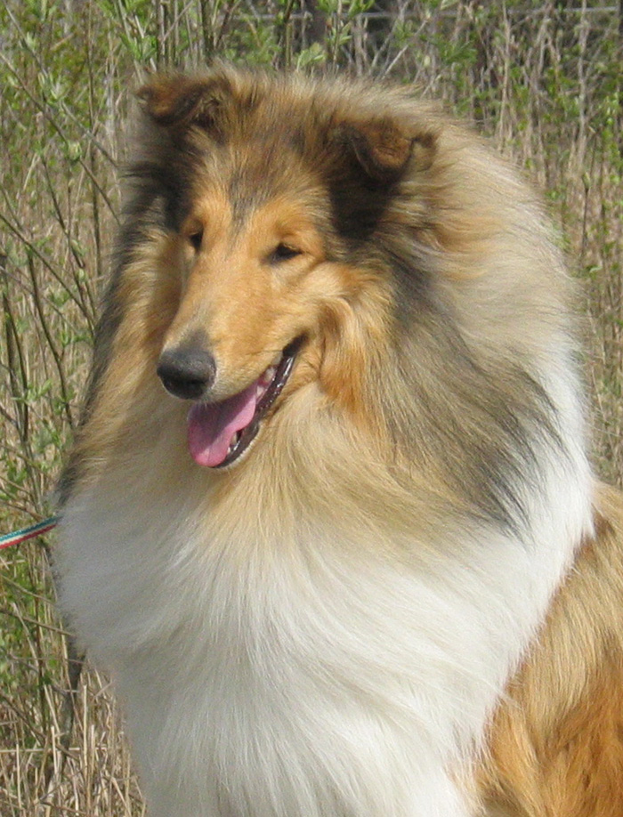 "Paolo"