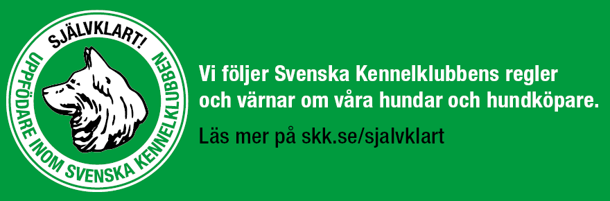 "SKK-logga"